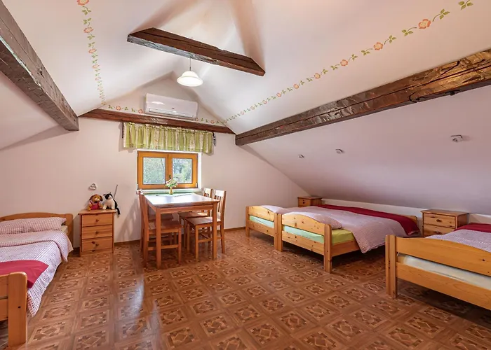 Fun & Games Homestead Lukec - Happy Tatil Evi Kostel